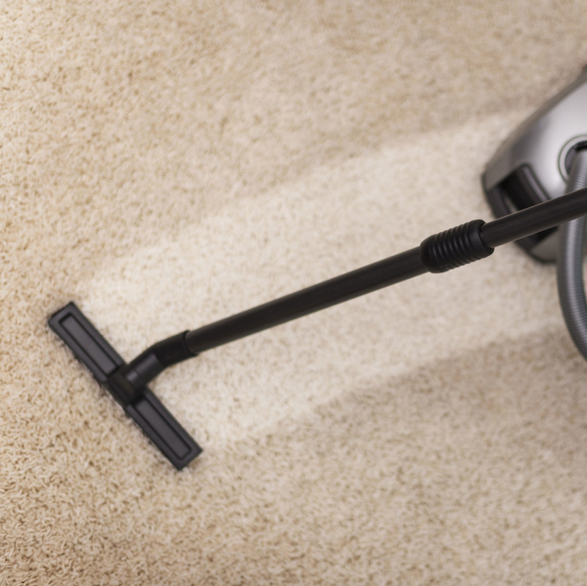 Carpet Cleaning Carpet Cleaning